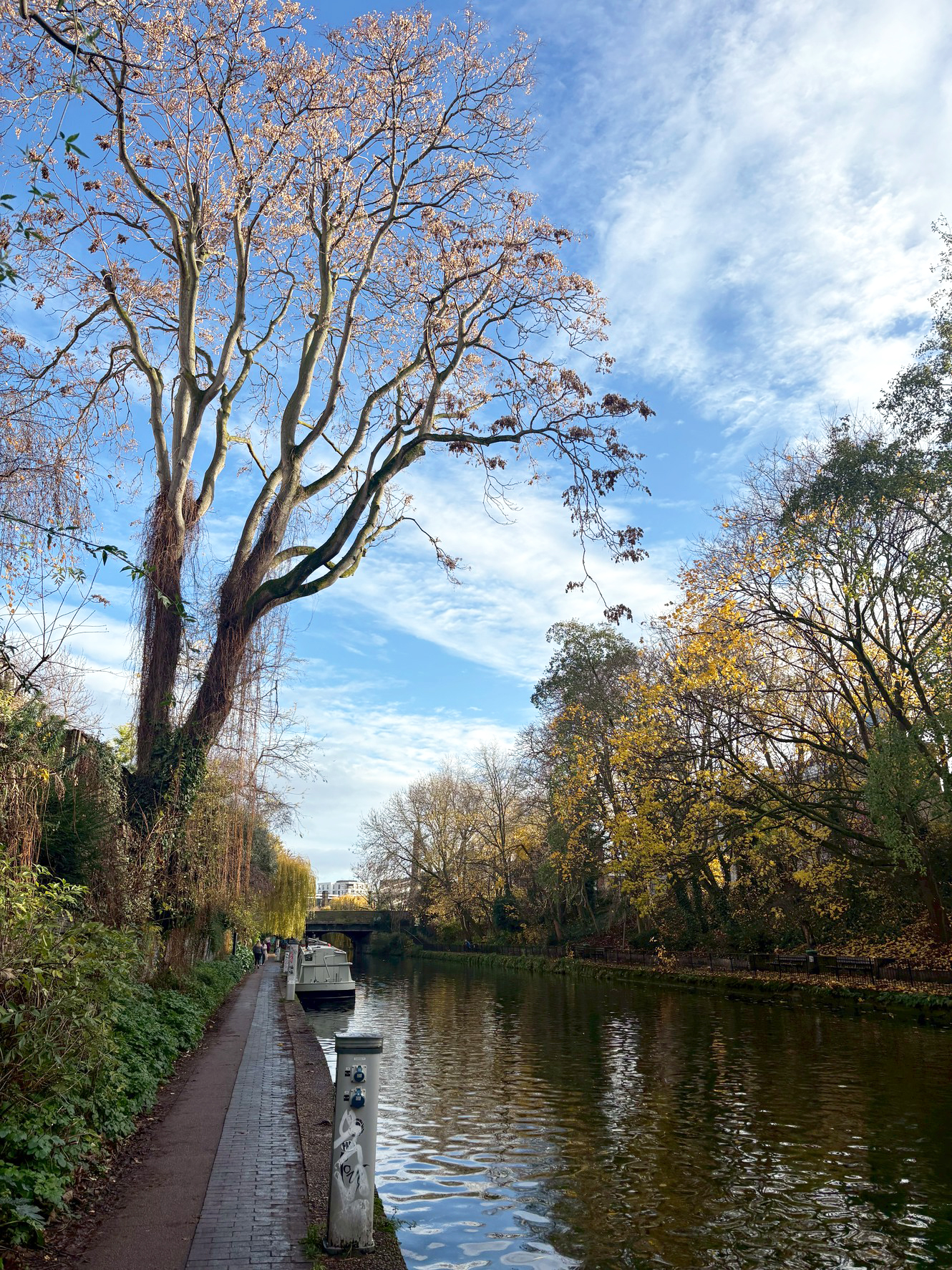 浜松英会話アカデミー 海外旅行体験 生徒さんの声